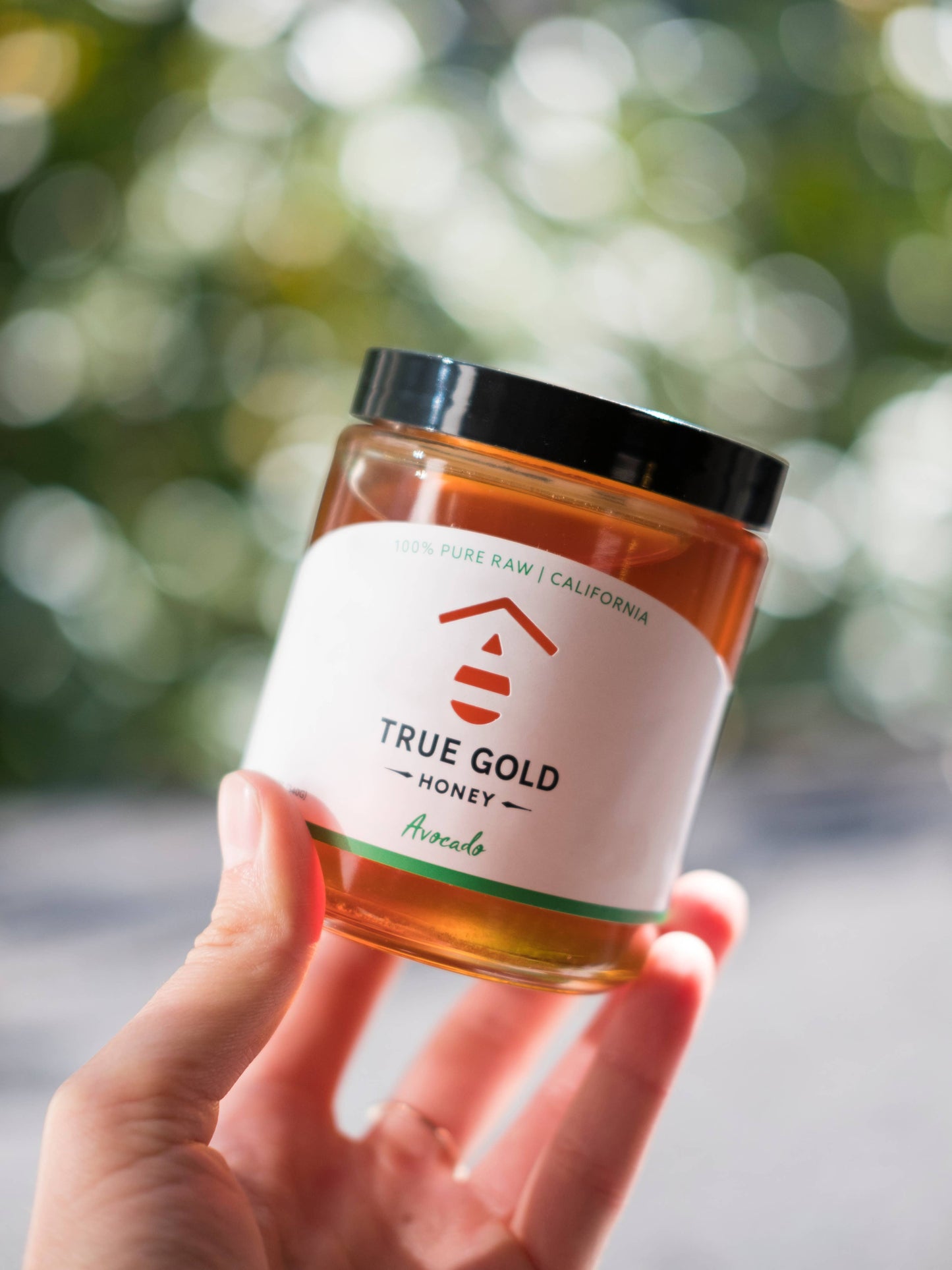 True Gold California Avocado Blossom Honey