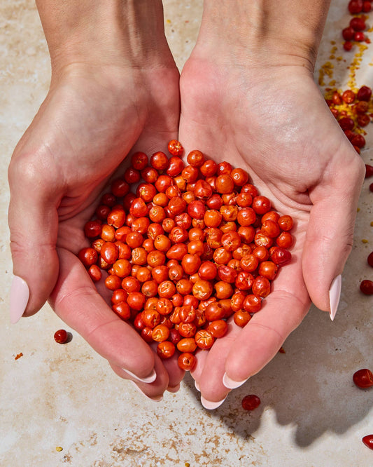 Desert Dust Chiltepin Peppers, wild, earthy, smokey, sharp kick of heat